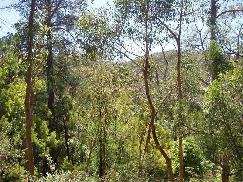 99 Upper Sturt Road, Upper Sturt SA 5156