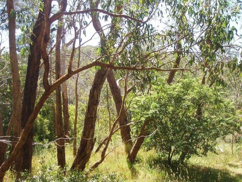 99 Upper Sturt Road, Upper Sturt SA 5156