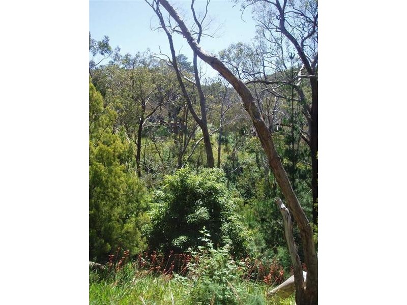 99 Upper Sturt Road, Upper Sturt SA 5156