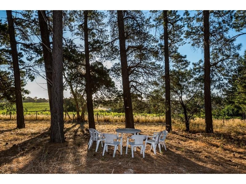 314 Kangarilla Road, Mclaren Flat SA 5171