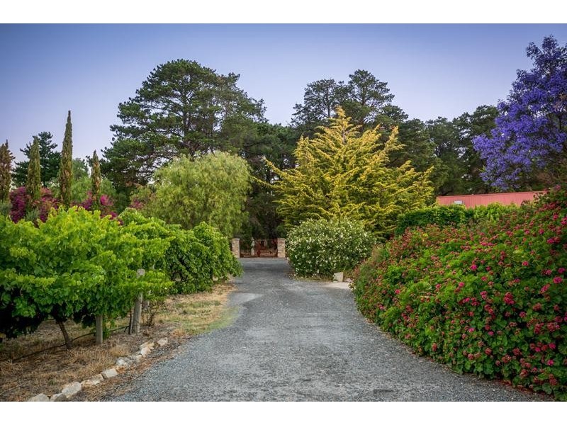 314 Kangarilla Road, Mclaren Flat SA 5171