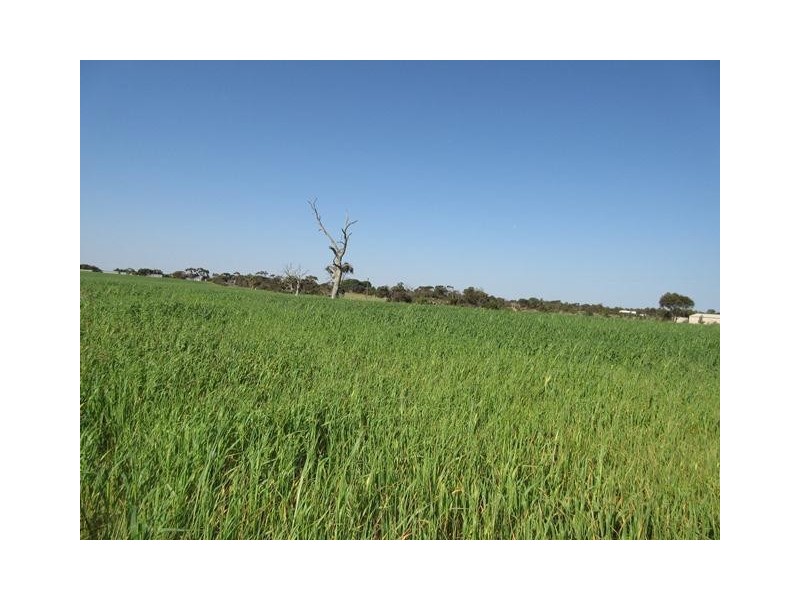 Section 53 Milang Road, Finniss SA 5255