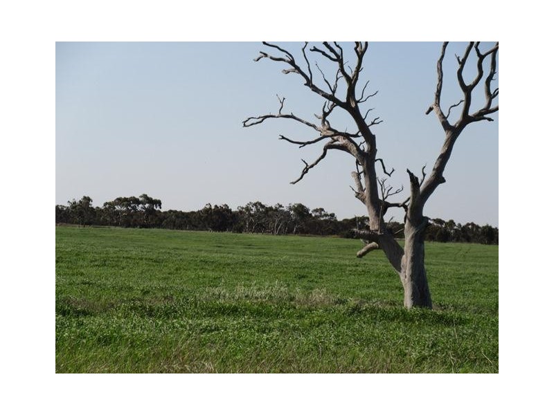 Section 53 Milang Road, Finniss SA 5255