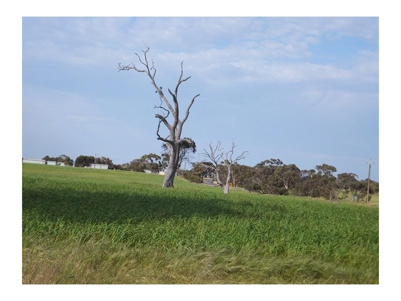 Section 53 Milang Road, Finniss SA 5255