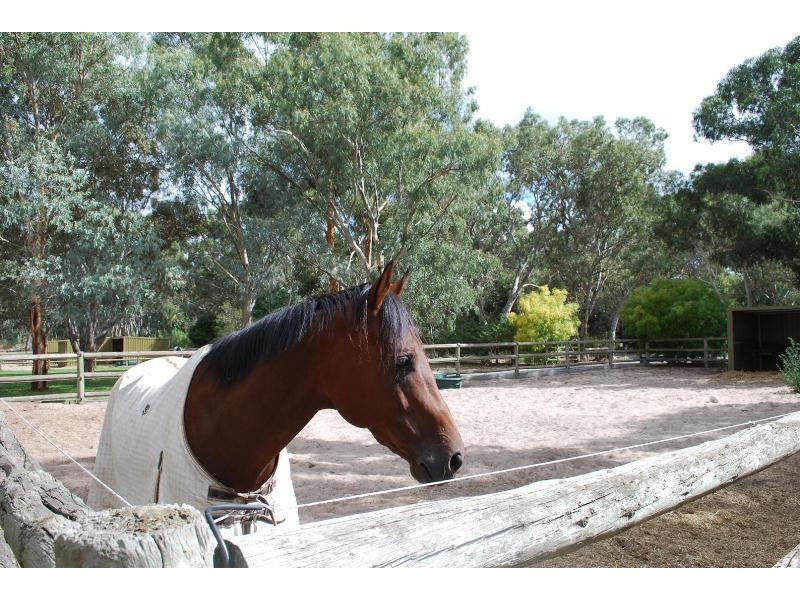 328 Chalk Hill Road, Mclaren Vale SA 5171