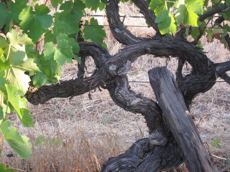 328 Chalk Hill Road, Mclaren Vale SA 5171