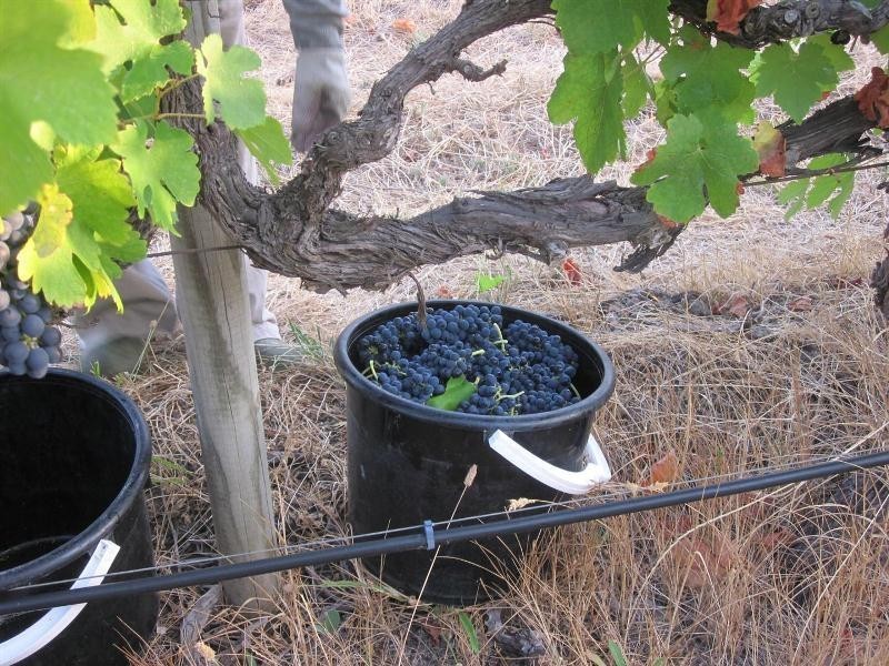 328 Chalk Hill Road, Mclaren Vale SA 5171