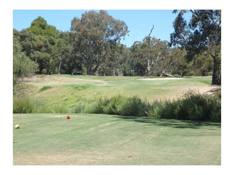 13 Waverley Drive, Willunga SA 5172