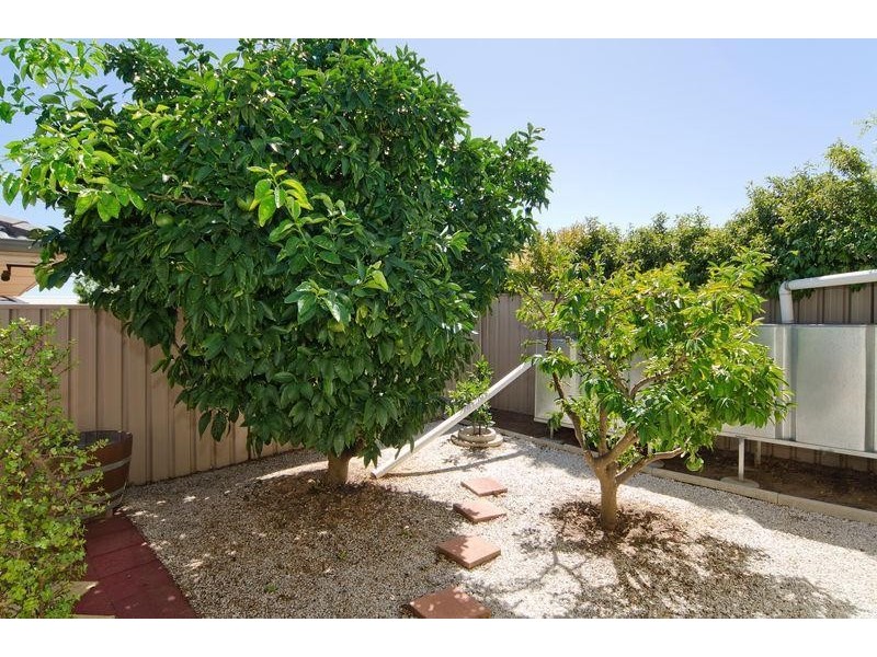 5 Timothy Court, Mitchell Park SA 5043