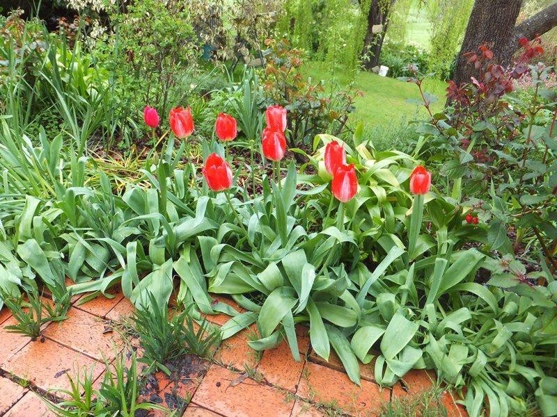 891 Pages Flat Road, Myponga SA 5202