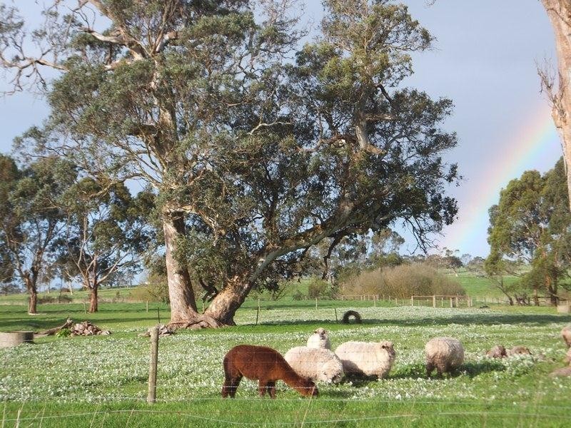 891 Pages Flat Road, Myponga SA 5202