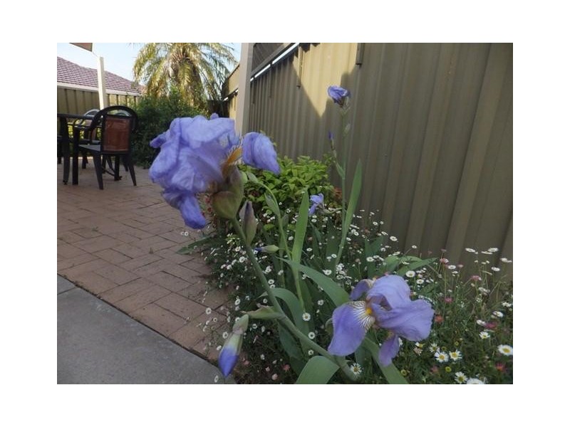 4/2 West Park Way, Mclaren Vale SA 5171