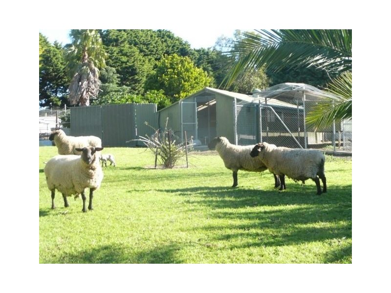 3379 Victor Harbor Road, Mount Jagged SA 5211