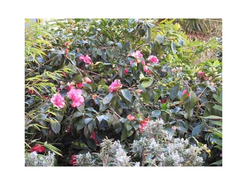 3379 Victor Harbor Road, Mount Jagged SA 5211