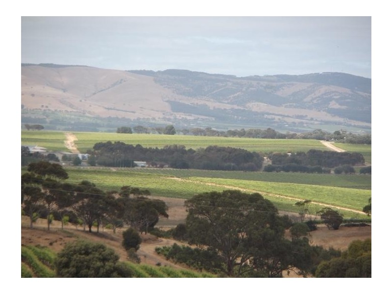 Lot 205 Victor Harbor Road, Mclaren Vale SA 5171