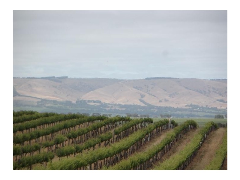 Lot 205 Victor Harbor Road, Mclaren Vale SA 5171