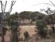 Lot 205 Victor Harbor Road, Mclaren Vale SA 5171