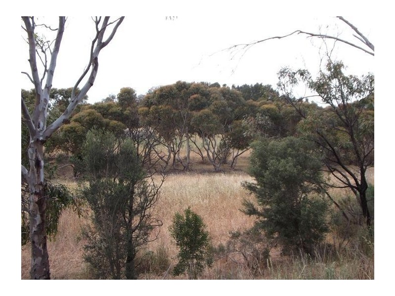 Lot 205 Victor Harbor Road, Mclaren Vale SA 5171
