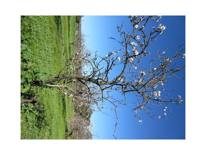 326 Aldinga Road, Whites Valley SA 5172