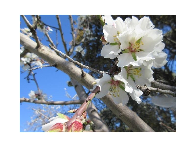 326 Aldinga Road, Whites Valley SA 5172