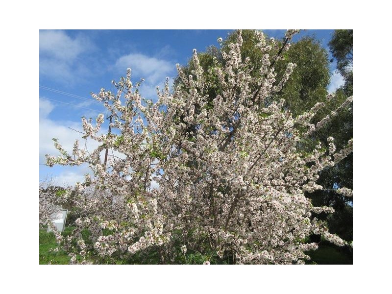 326 Aldinga Road, Whites Valley SA 5172