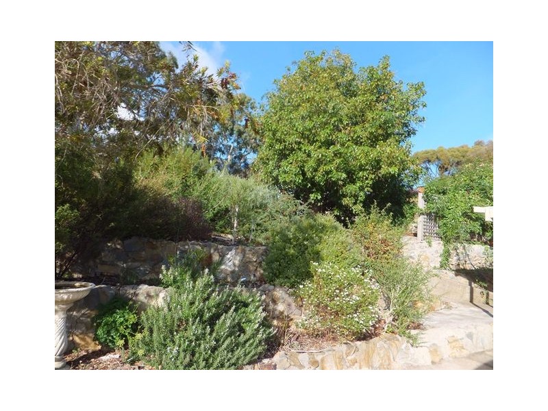 23 St Marys Street, Willunga SA 5172