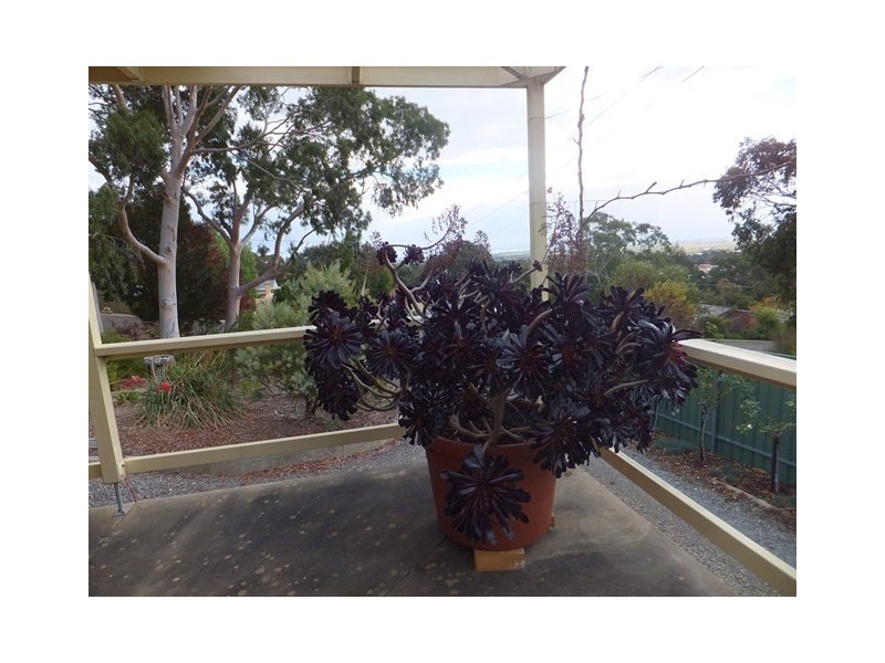 23 St Marys Street, Willunga SA 5172