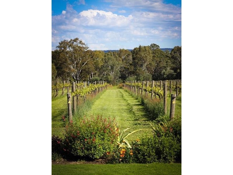 12 Beltunga Close, Blewitt Springs SA 5171