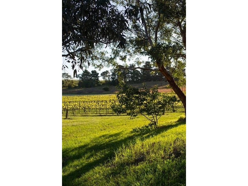 12 Beltunga Close, Blewitt Springs SA 5171