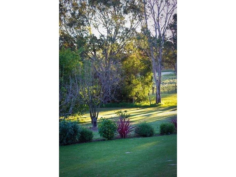 12 Beltunga Close, Blewitt Springs SA 5171