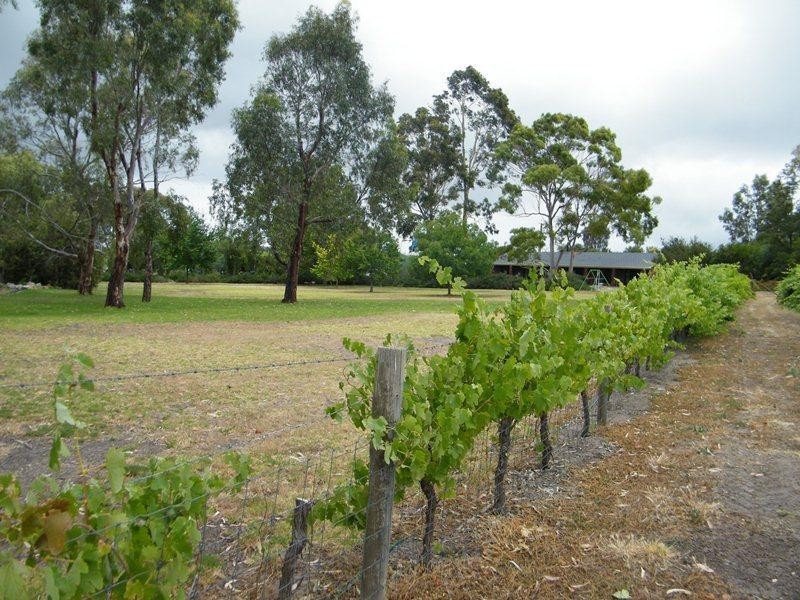 47a Chalk Hill Road, Mclaren Vale SA 5171