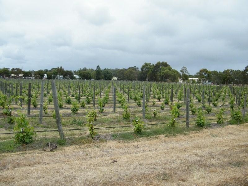 47a Chalk Hill Road, Mclaren Vale SA 5171