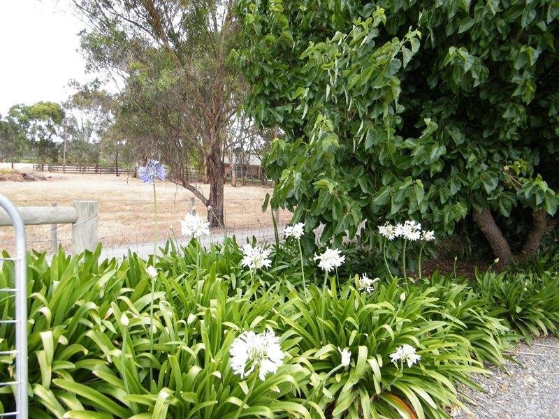 47a Chalk Hill Road, Mclaren Vale SA 5171