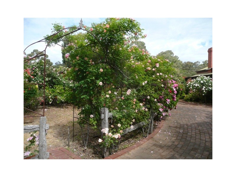 Lot/56 McLaren Flat Road, Kangarilla SA 5157