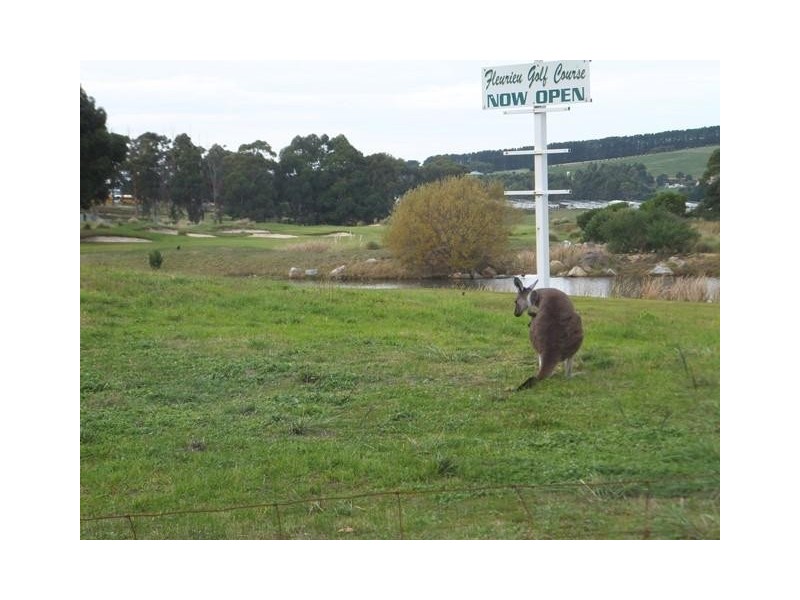 82 George Francis Drive, Mount Compass SA 5210