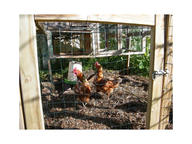 11a Tatachilla Road, Mclaren Vale SA 5171