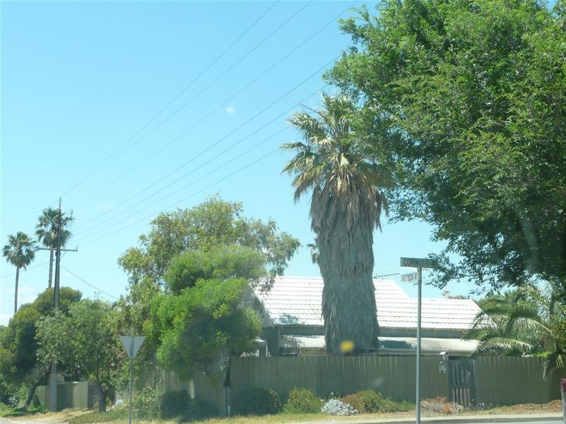 14 Cornish Avenue, Port Noarlunga SA 5167