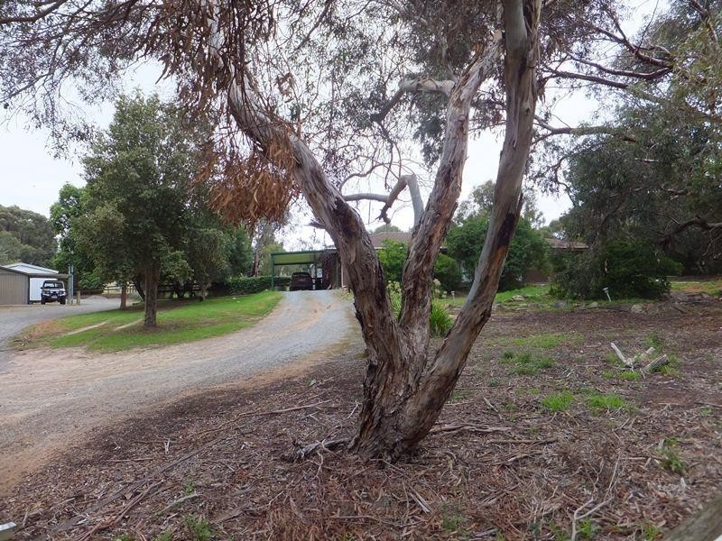 Lot 11, Lot 11 Warners Road, Mclaren Vale SA 5171