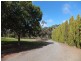Lot 11, Lot 11 Warners Road, Mclaren Vale SA 5171