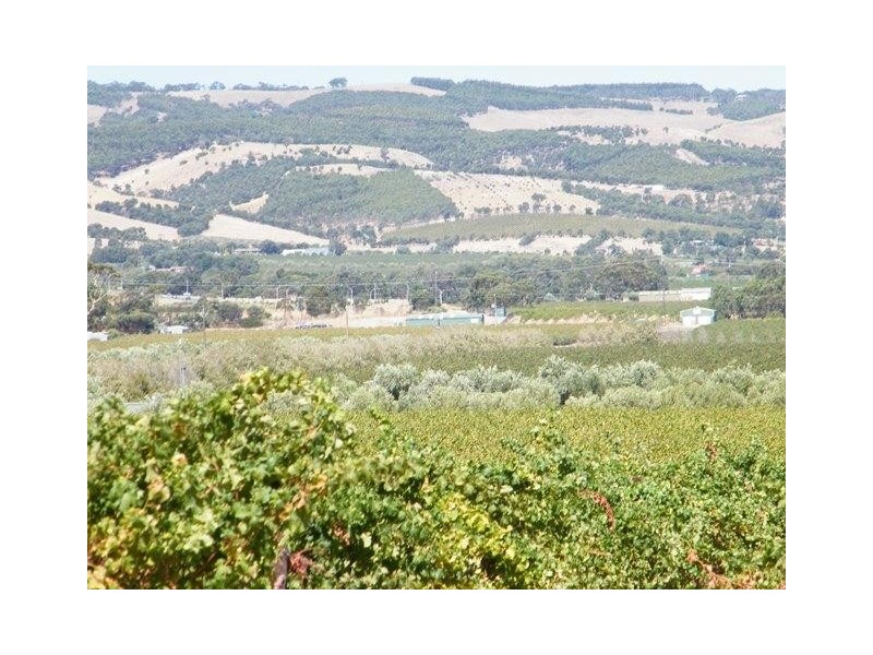 161 Pethick Road, Mclaren Vale SA 5171