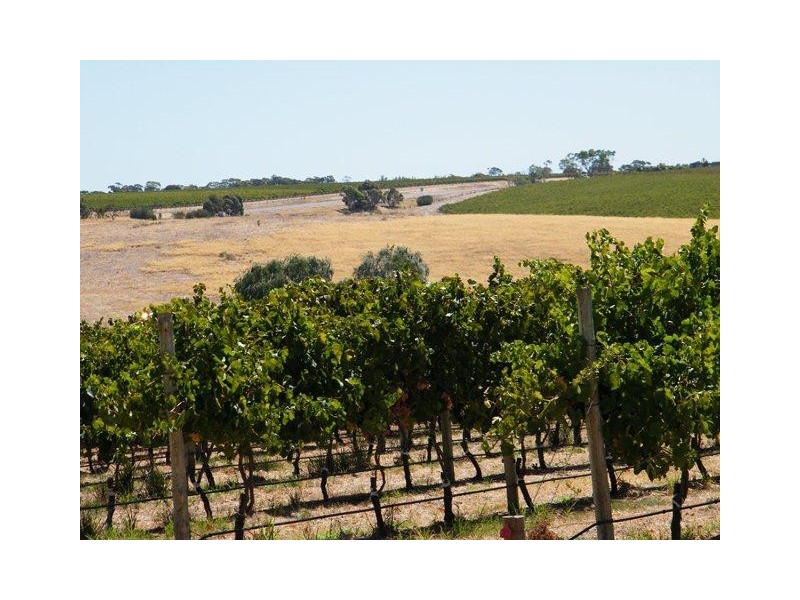 161 Pethick Road, Mclaren Vale SA 5171