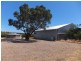 161 Pethick Road, Mclaren Vale SA 5171