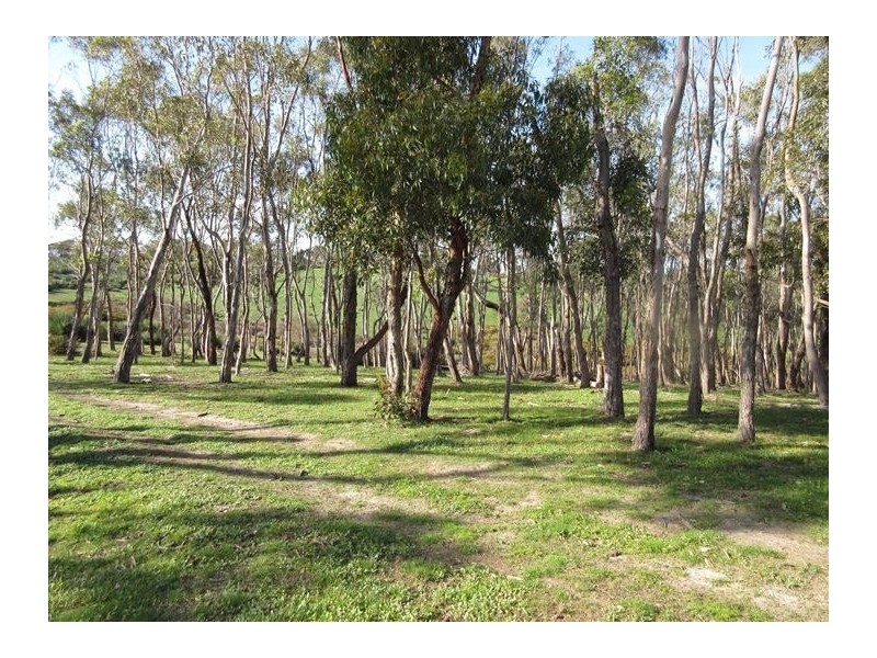 148 Ancell Road, Mount Jagged SA 5211