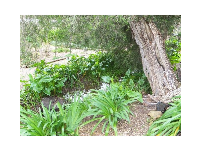 58 Tester Road, Kangarilla SA 5157