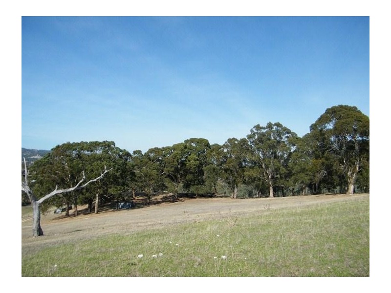 126 Bakers Gully Road, Clarendon SA 5157