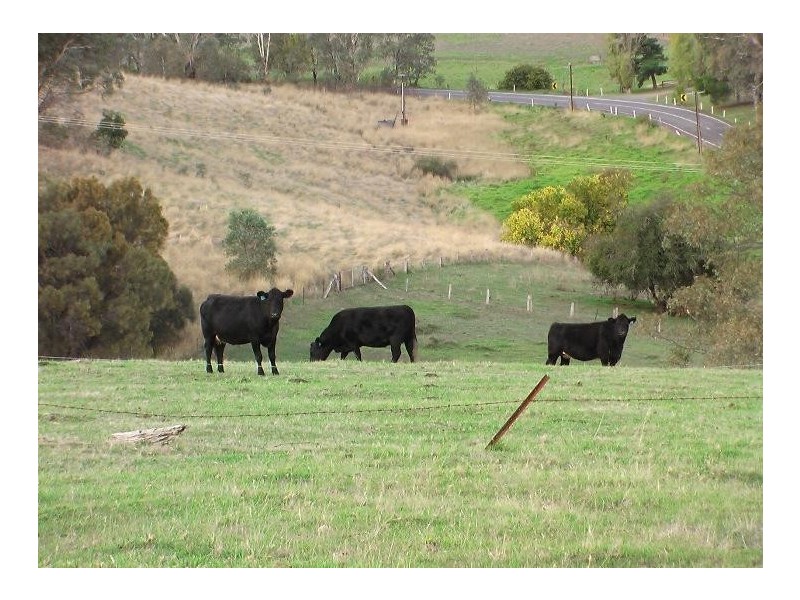 126 Bakers Gully Road, Clarendon SA 5157