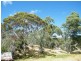 Allot 20 Glory Road, Kangarilla SA 5157