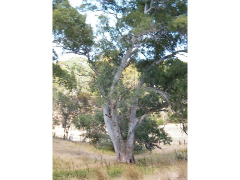 Allot 20 Glory Road, Kangarilla SA 5157