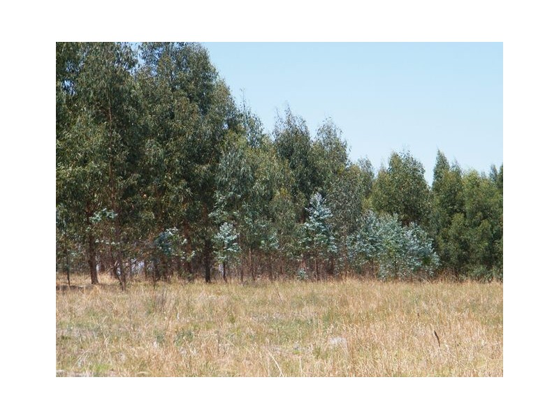 Lot 202 Munetta Road, Pages Flat SA 5172