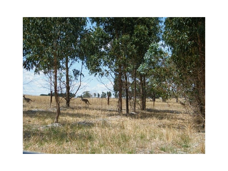 Lot 202 Munetta Road, Pages Flat SA 5172